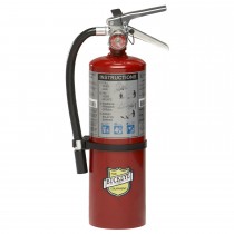 Buckeye 5 Lb. ABC Dry Chemical Fire Extinguisher W/ Wall Hook 3-A:40-B:C
