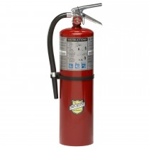 Buckeye 10 Lb. ABC Dry Chemical Fire Extinguisher W/ Wall Hook 4-A:80-B:C